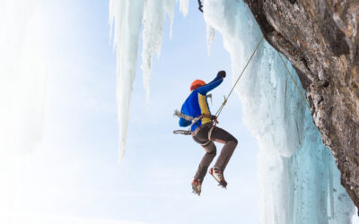 Cancellation and Enforcement Against Copycat Infringing Mark