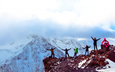 Nullity Actions Reclaim Rights from Infringer